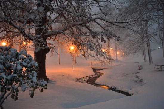 Jan17_West Jefferson Park taken by Leisa Johnson around 8pm