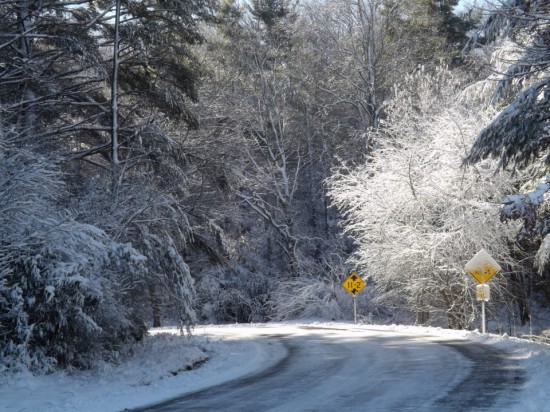 Jan18_Don Hayes Road_Isabella Metts