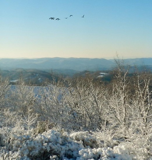 Jan18__shot from Ivy Mountain on the Blue Ridge in Deep Gap looking down towards Lenoi_Sheron White Hagelston