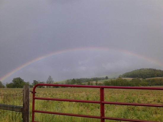 Neva TN rainbows2_Tonya Townsend