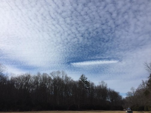 Feb 19 2016_Boone Fork Trail_Keli Ann Gajewski