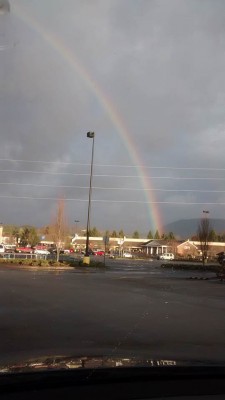 Rainbow March 28_Neeta Johnson