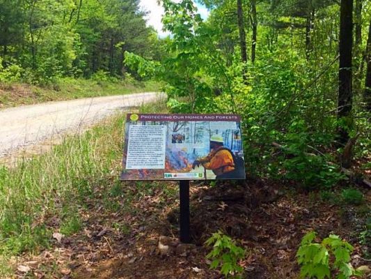 Fire Learning Trail