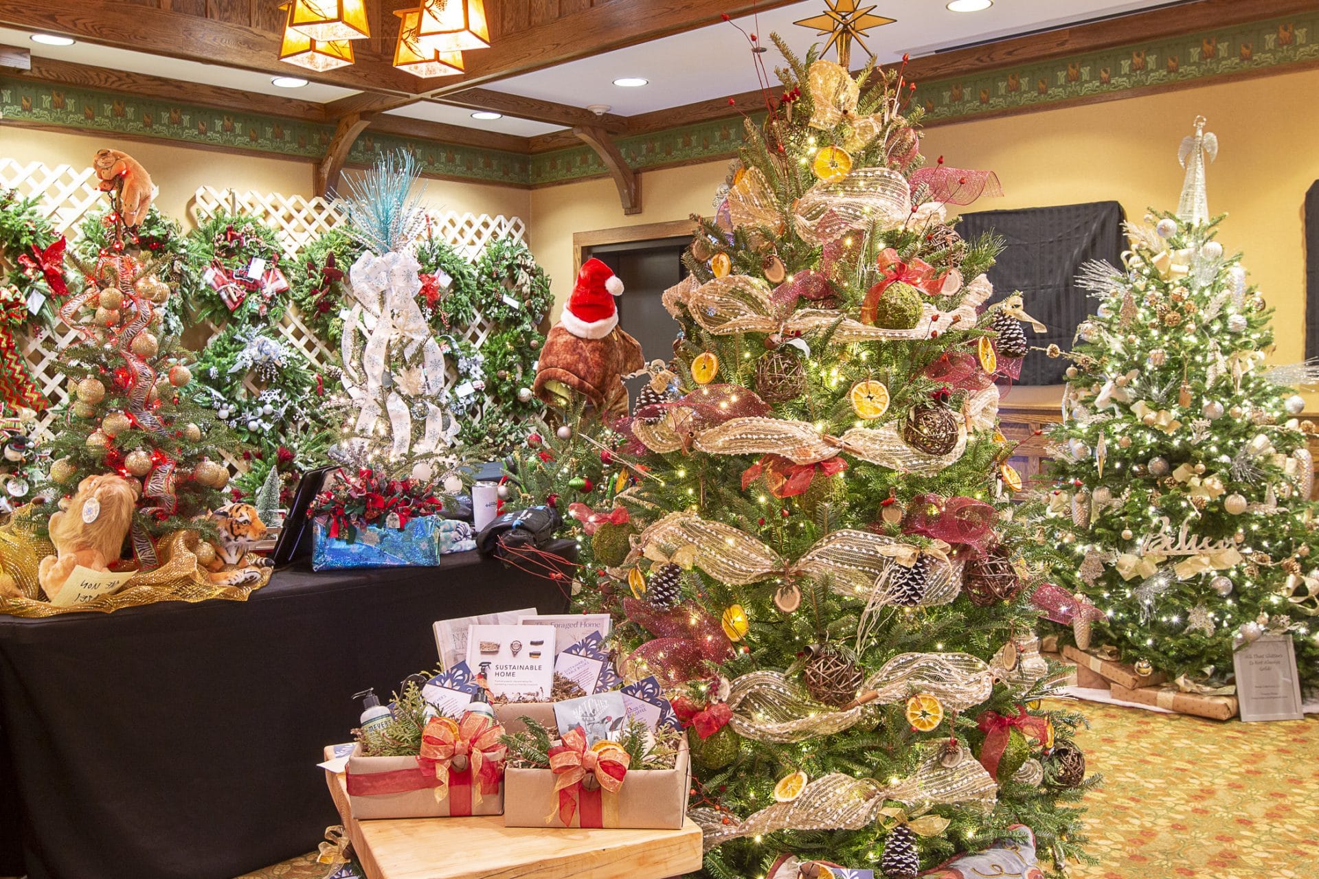 Festival of Trees Raises Almost 50,000 for Western Youth Network