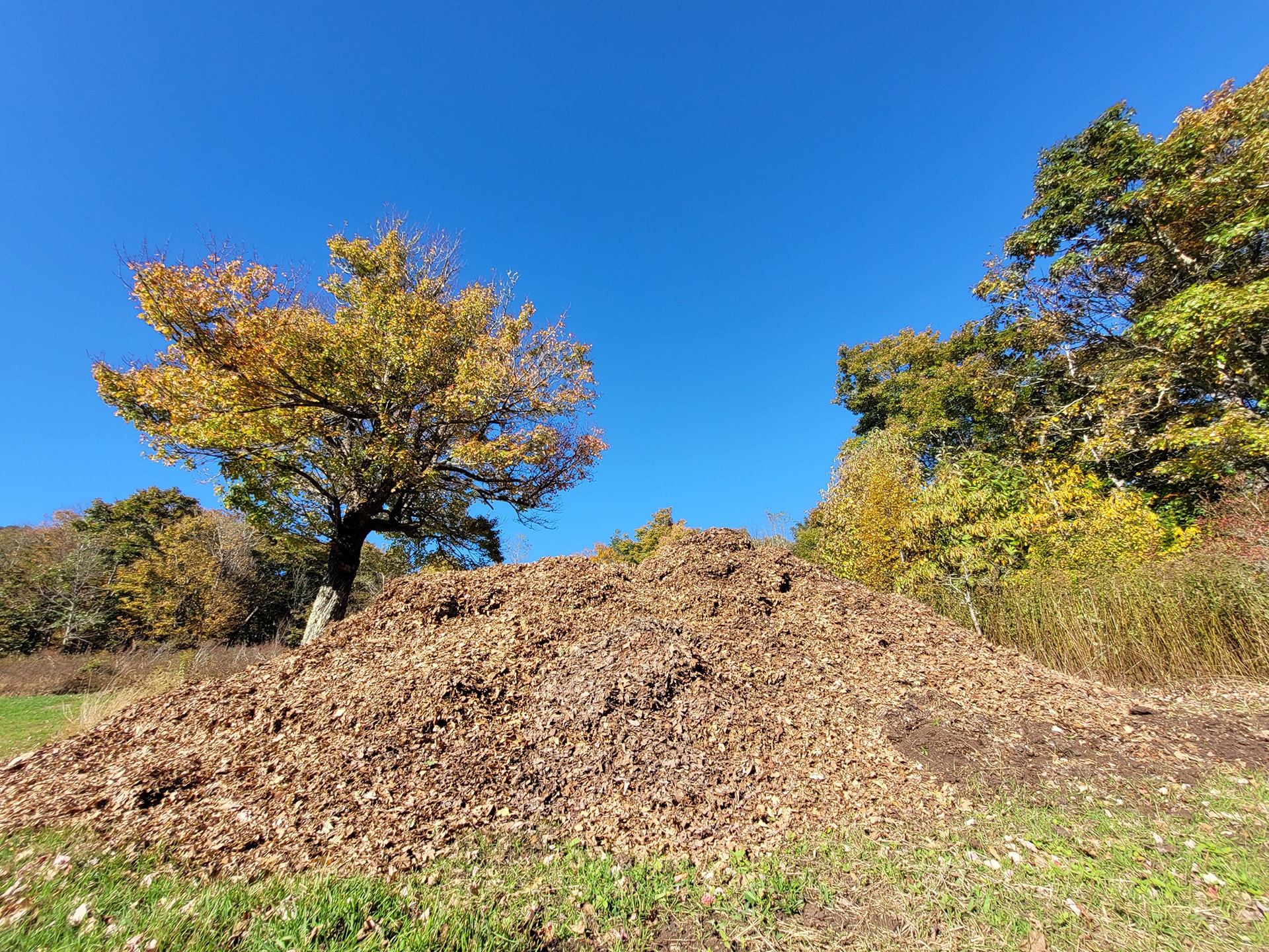 mountains-of-foliage-what-does-grandfather-mountain-do-with-its-fallen