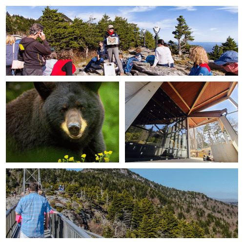 ‘Dollar Days’ begin April 2 at Grandfather Mountain