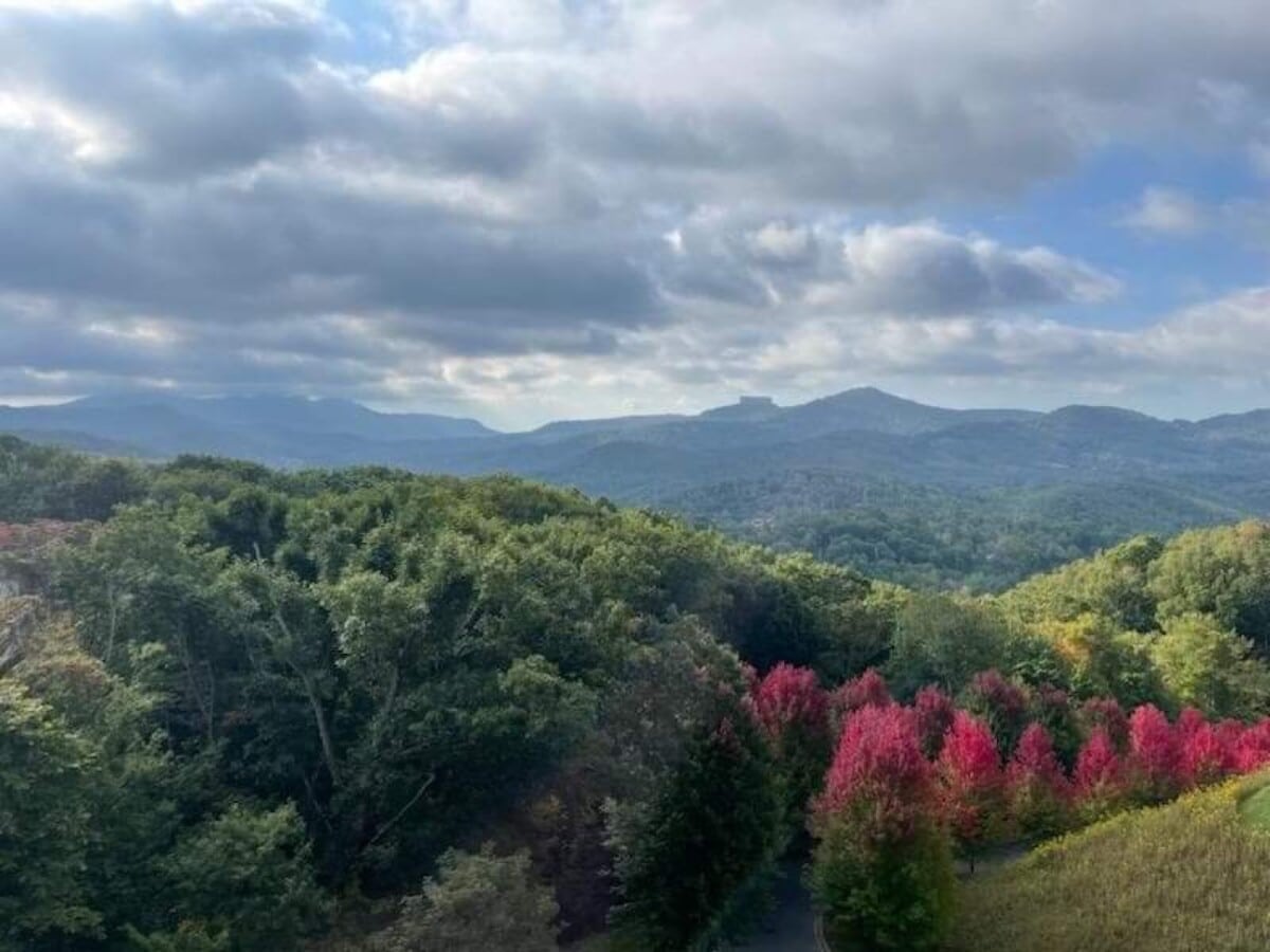 Cool autumn weather reveals nature's true hues