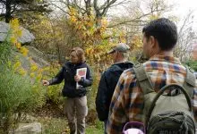 Grandfather Mountain Fall Color Ramble guided nature walk