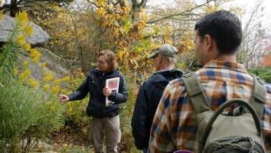 Grandfather Mountain Fall Color Ramble guided nature walk