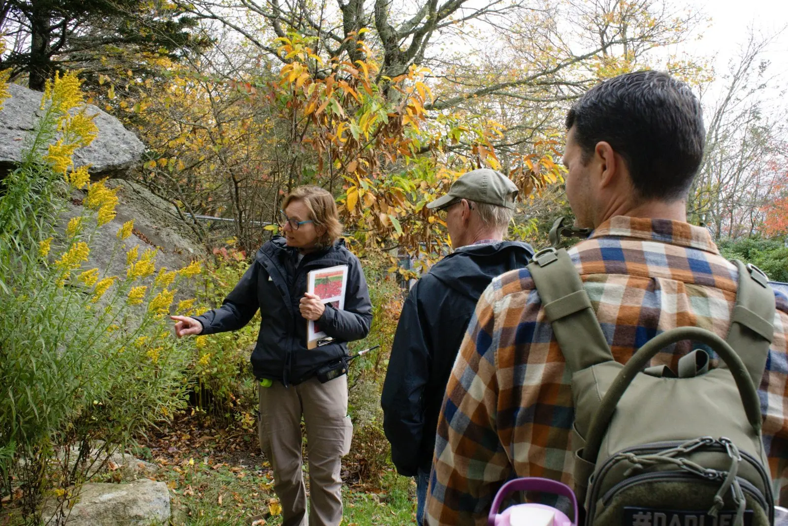 Grandfather Mountain Fall Color Ramble guided nature walk