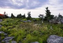 August 2026 at Grandfather Mountain