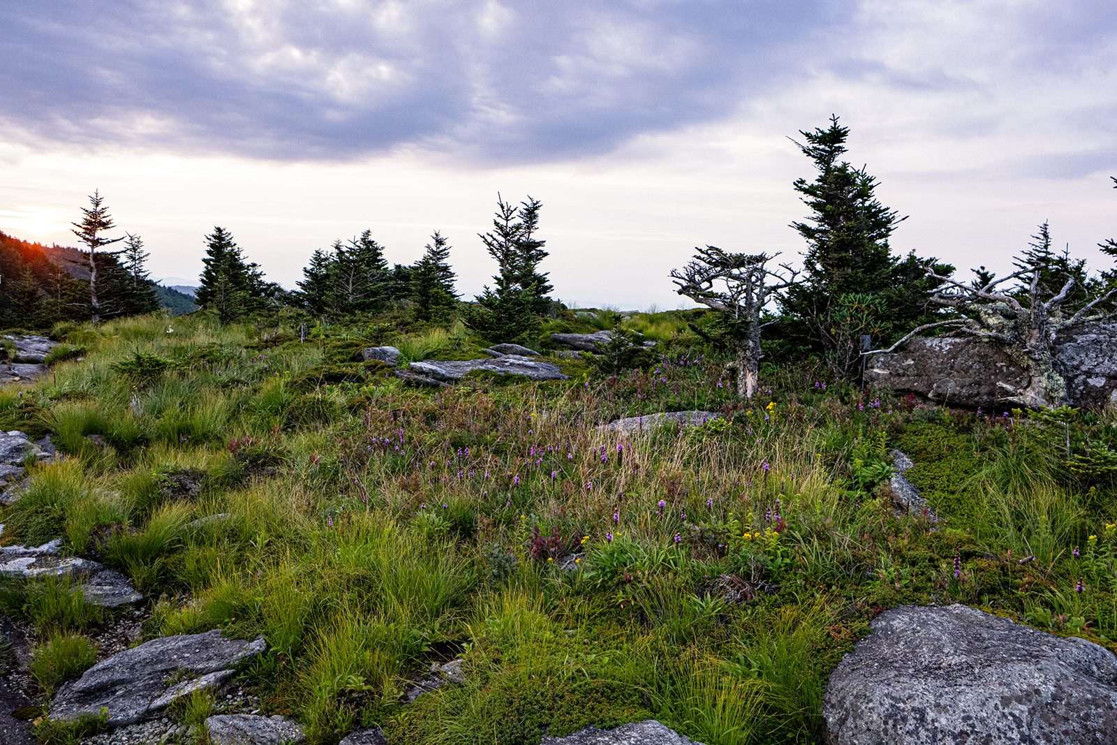 August 2026 at Grandfather Mountain