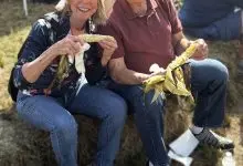 Couple enjoying roasted corn at the Valle Country Fair
