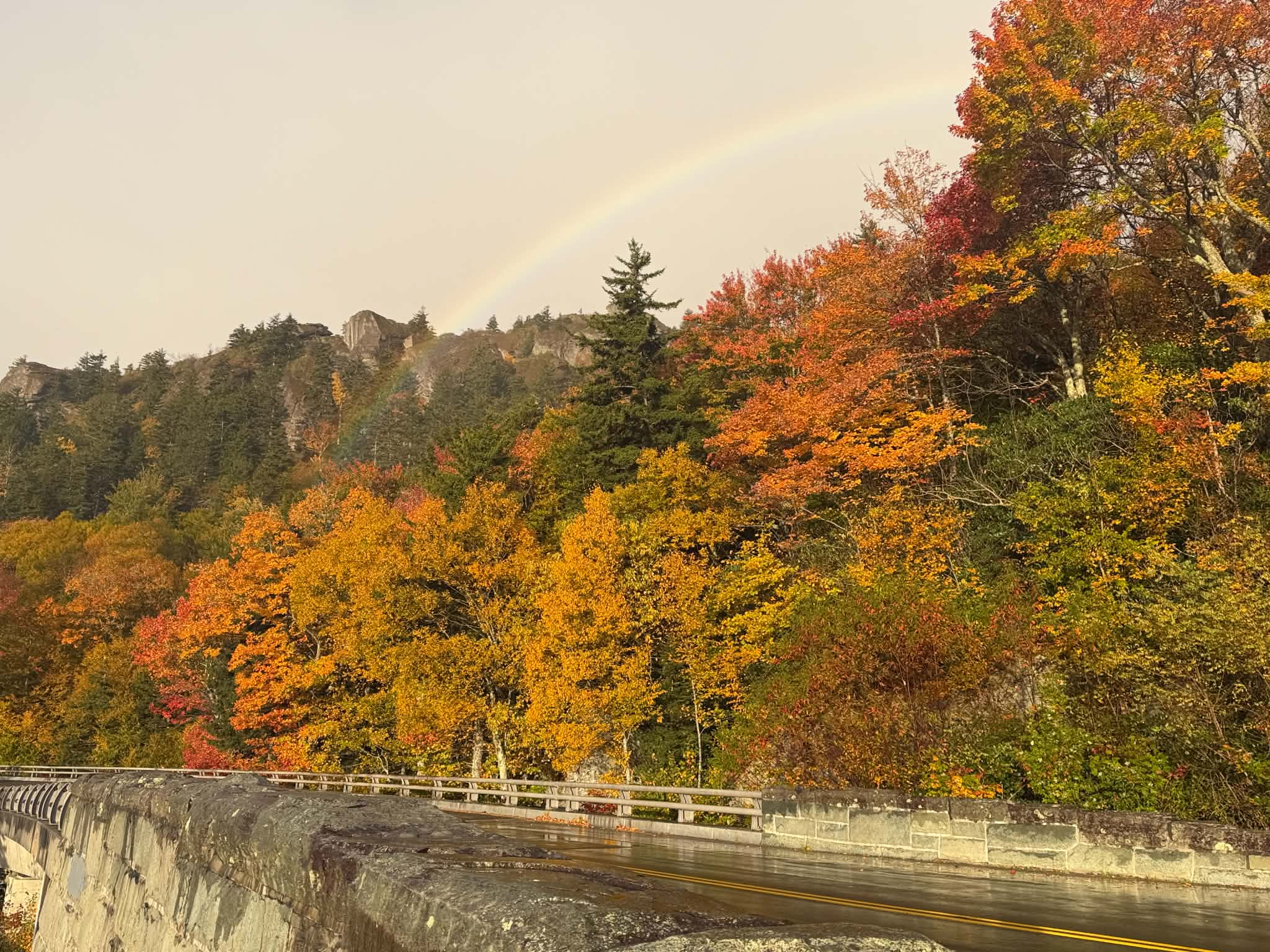 Rainbow over fall color along the Blue Ridge Parkway, photo by Andrea Crouch