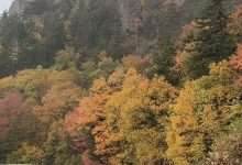 Fall color and a rocky ridge along the Blue Ridge Parkway on the morning snow fell