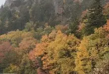 Fall color and a rocky ridge along the Blue Ridge Parkway on the morning snow fell