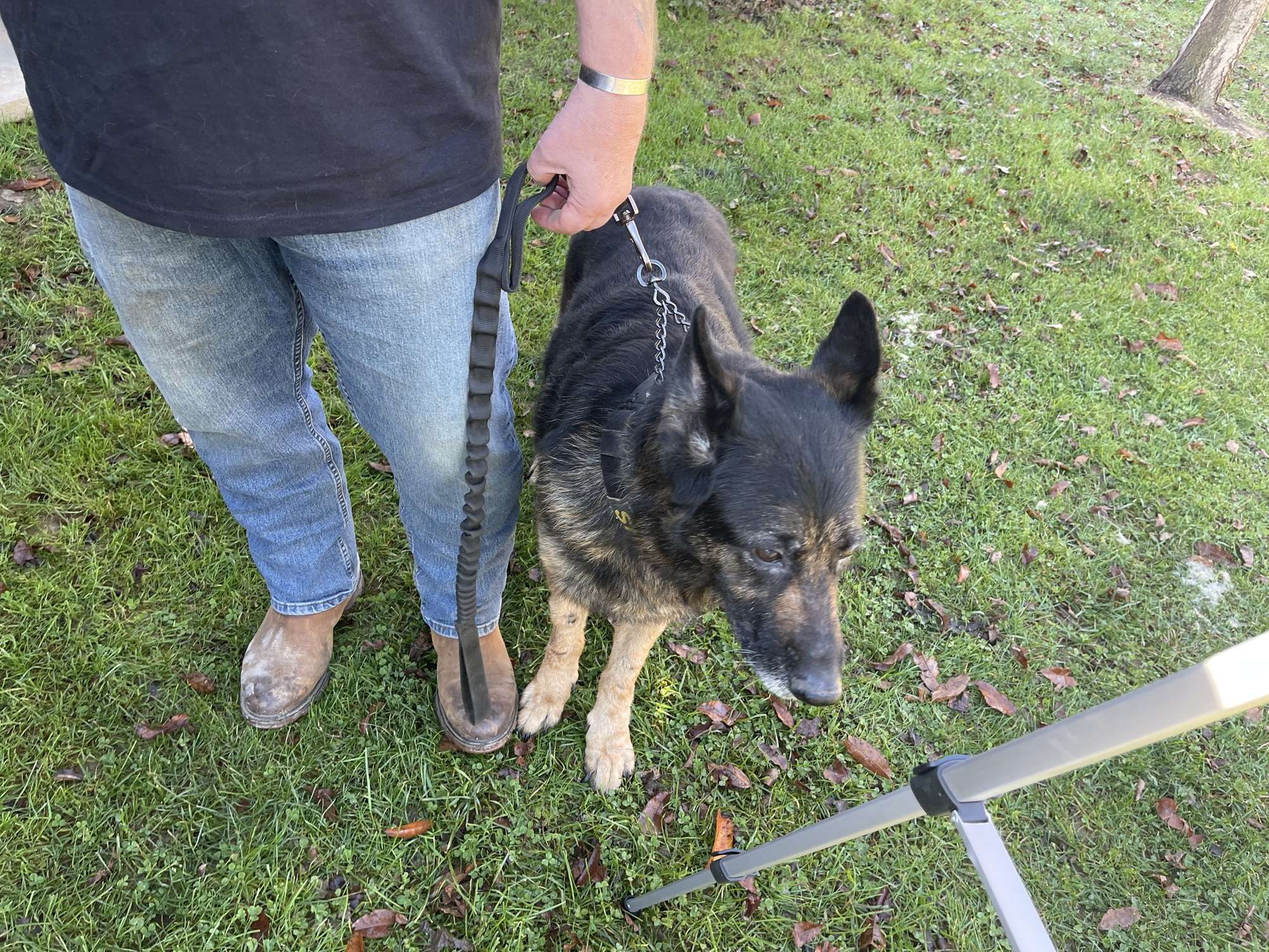 K-9 beside handler