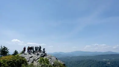 Hawk Watch volunteers and staff at Linville Peak