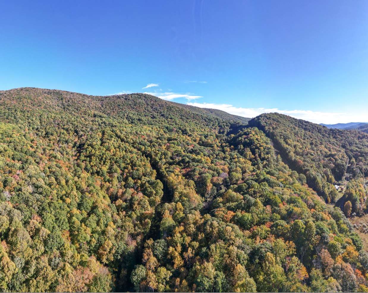 Aerial view of the forested mountainside protected by the Linville conservation easement