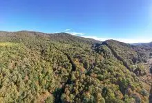 Forested mountainside in fall color on the Linville conservation easement in Ashe County