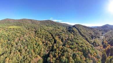 Forested mountainside in fall color on the Linville conservation easement in Ashe County