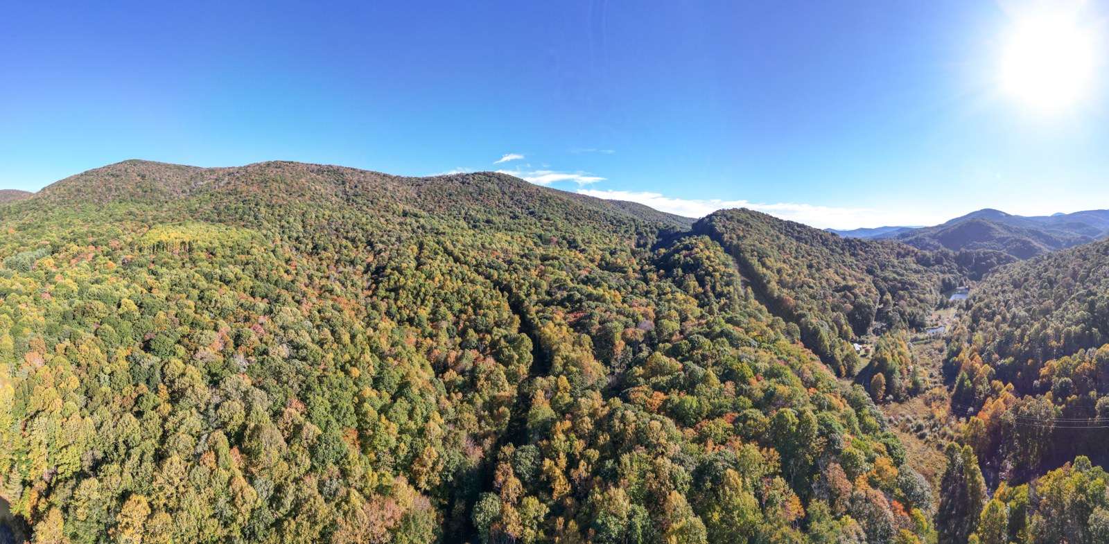 Forested mountainside in fall color on the Linville conservation easement in Ashe County