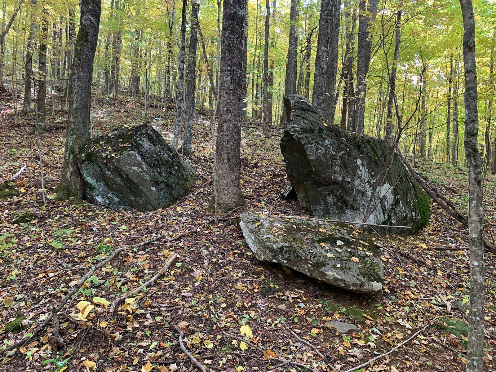 Large boulders in the forest on the Linville conservation easement