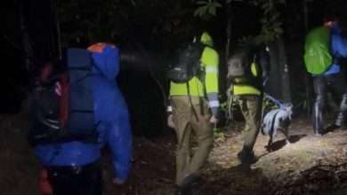 Rescuers walk with hikers and a dog at night