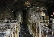 Burned barn with charred moonshine stills in Wilkes County