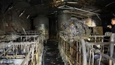 Burned barn with charred moonshine stills in Wilkes County