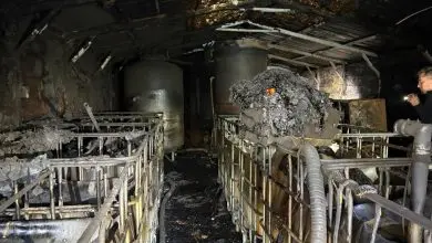 Burned barn with charred moonshine stills in Wilkes County